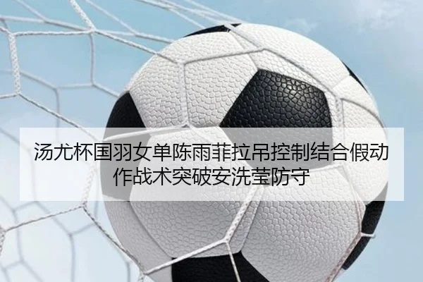 tang-you-bei-guo-yu-nv-dan-chen-yu-fei-la-diao-kong-zhi-jie-he-jia-dong-zuo-zhan-shu-tu-po-an-xi-ying-fang-shou-2-779.jpg